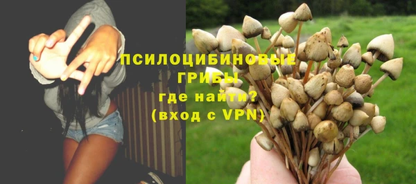 стаф Абинск