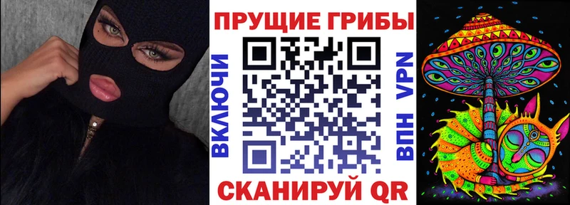 Галлюциногенные грибы GOLDEN TEACHER  Александровск-Сахалинский 